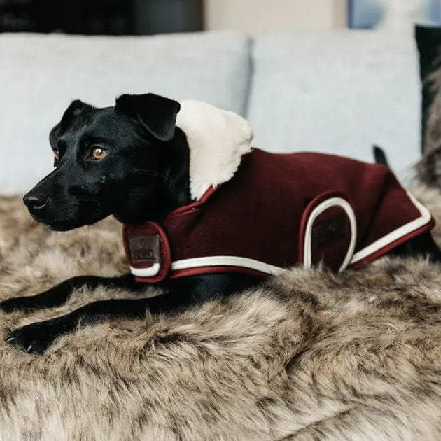 Manteau-serviette pour chien kentucky - La Cabrade