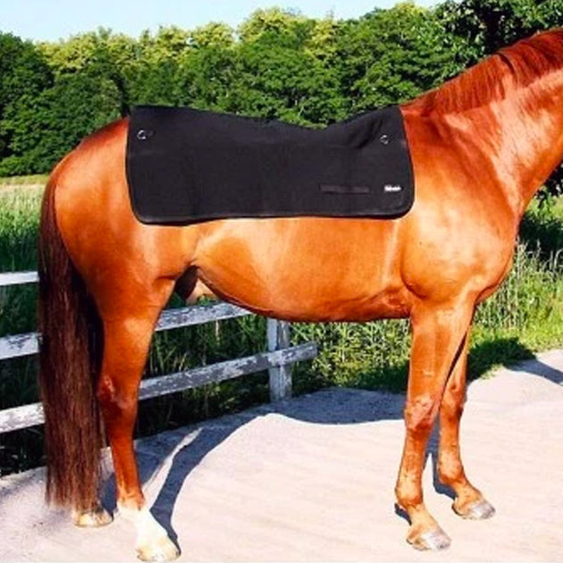 Medima Classic Thermique Moas Dos Chauffe Avec Soie, Protection