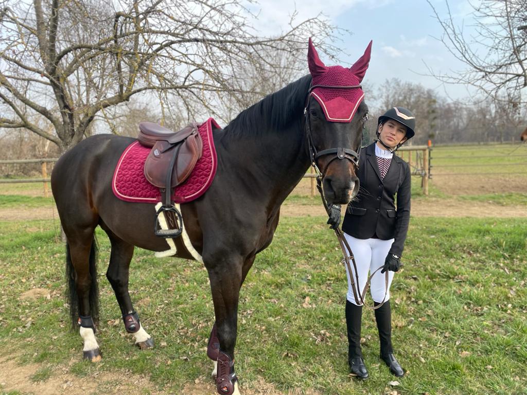 Equitation concours : bien choisir son matériel !