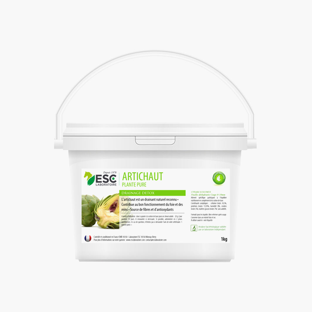 Pourquoi distribuer à son cheval de l’artichaut ?