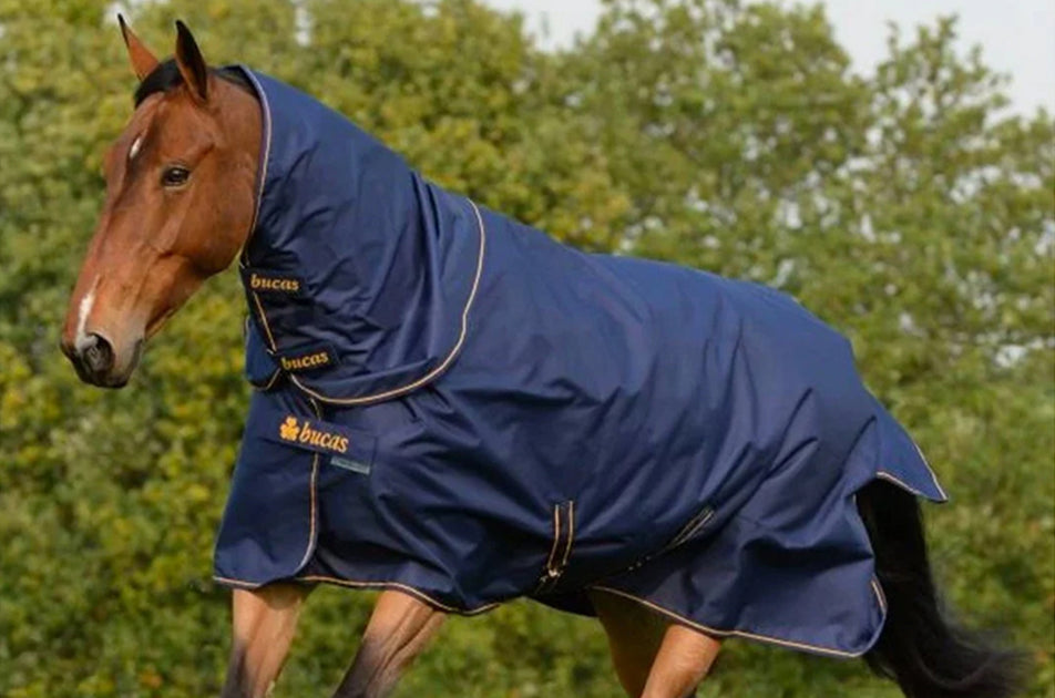 Mini couverture de pluie pour cheval - Protection solaire