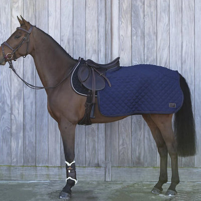 Comment mettre le couvre-rein sur son cheval