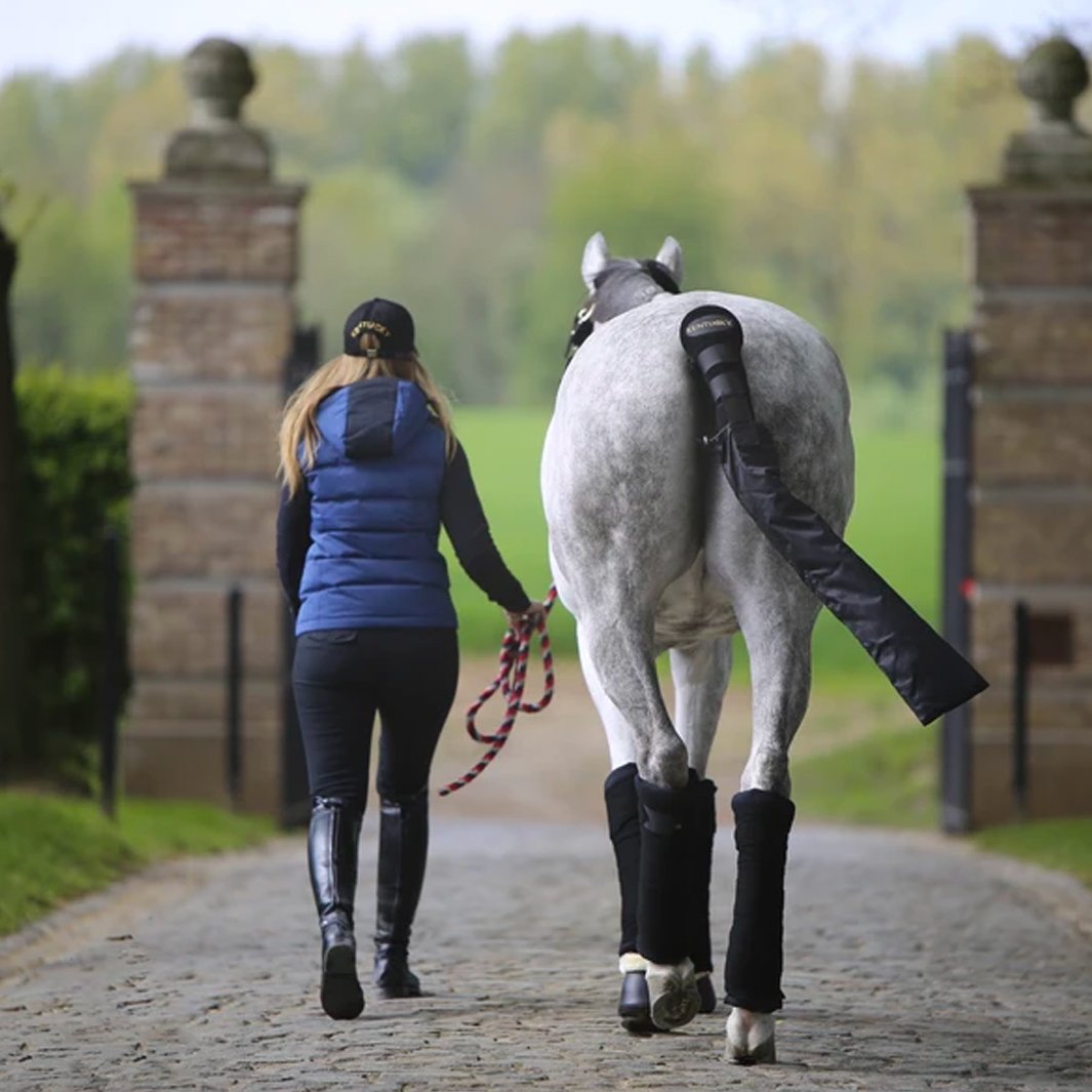 Comment protéger son cheval durant un transport ?