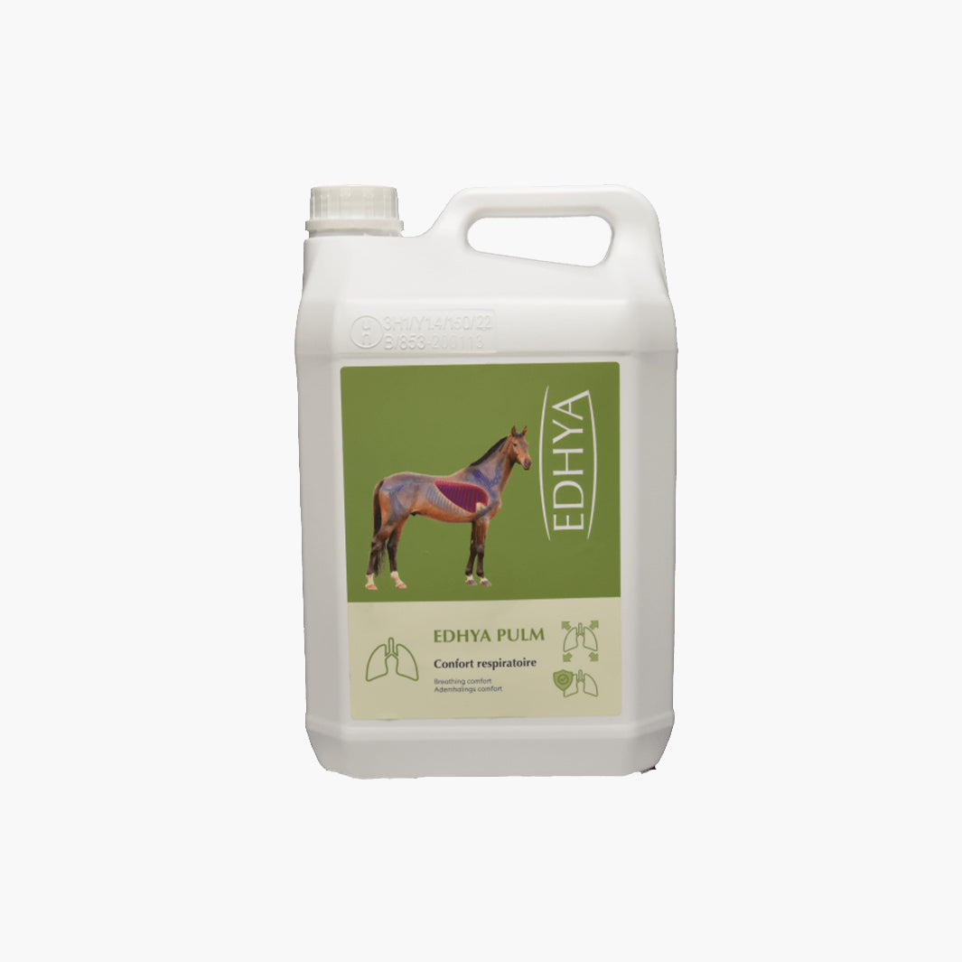 En hiver, accompagnez votre cheval sur le plan nutritionnel avec EDHYA PULM