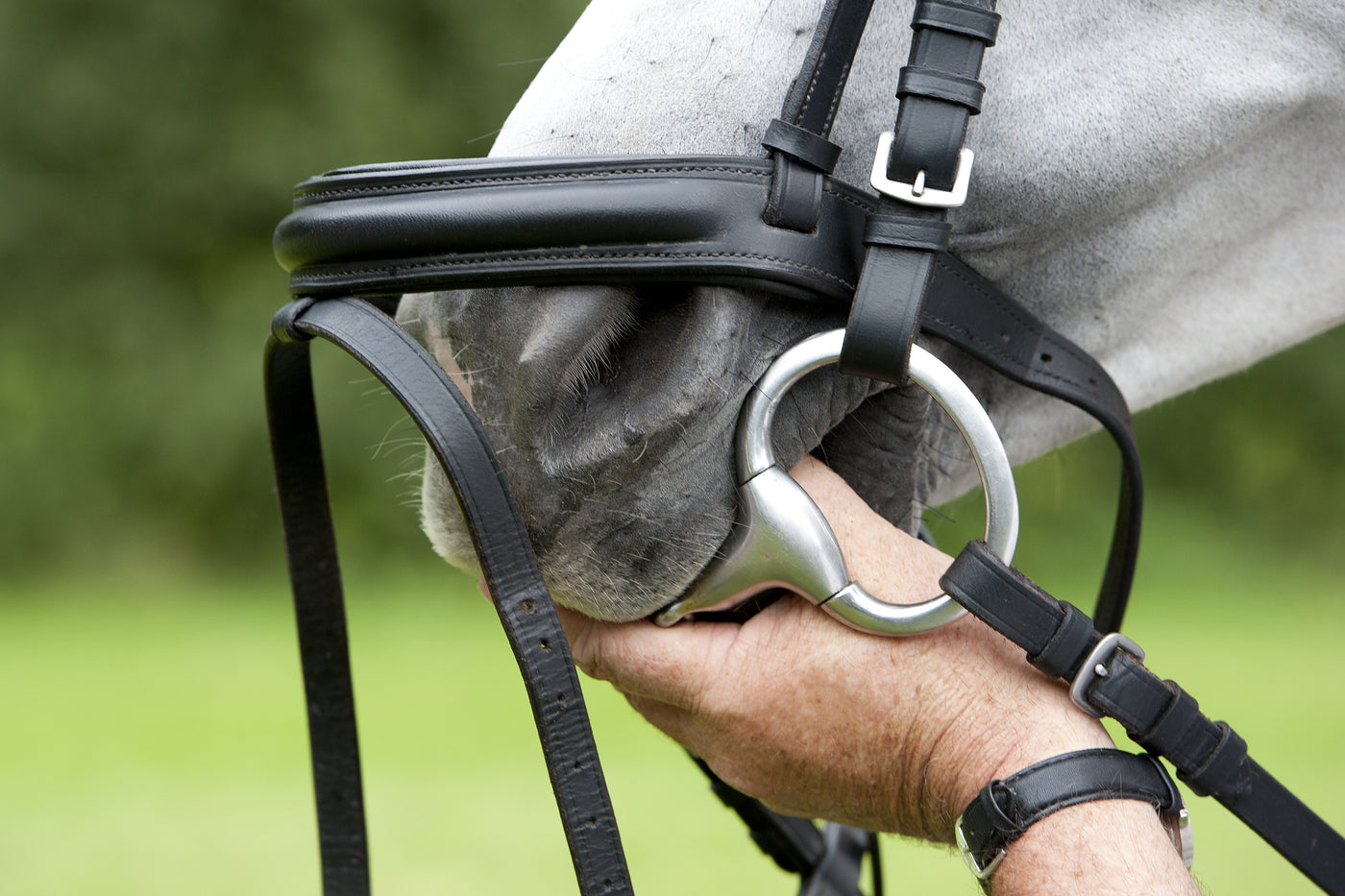 Mors de cheval : Un accessoire essentiel pour votre cheval !