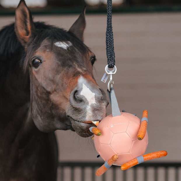 BALLON A CAROTTE | WALDHAUSEN