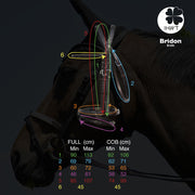 BRIDON EVOLUTION CONTACT | JU ET PA BY IHWT