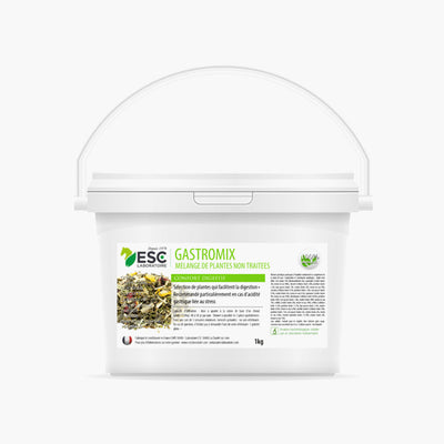 GASTROMIX – DIGESTION ET ACIDITE GASTRIQUE | ESC