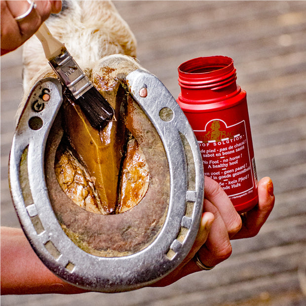 HOOF SOLUTION | KEVIN BACON'S