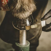 HUILE HOOF DRESSING | KEVIN BACON 'S