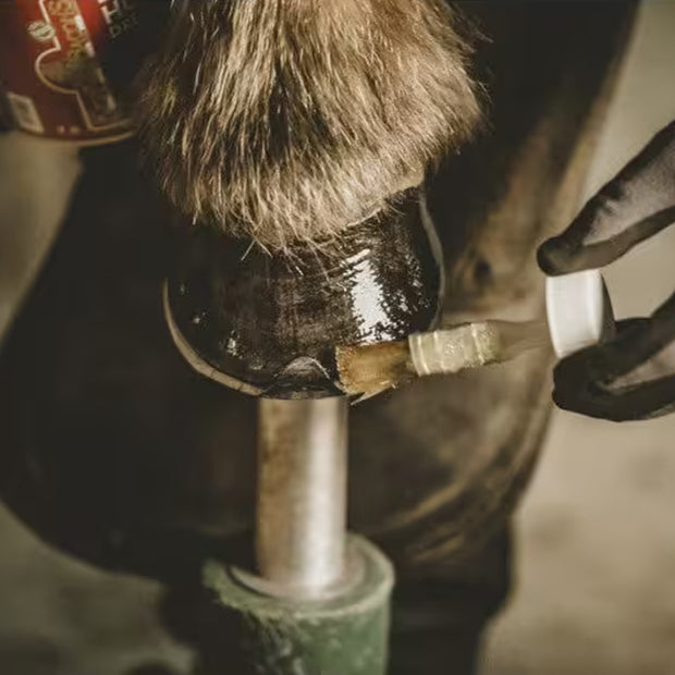 HUILE HOOF DRESSING | KEVIN BACON 'S
