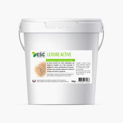 LEVURE ACTIVE + | ESC INCOLORE / 500 g