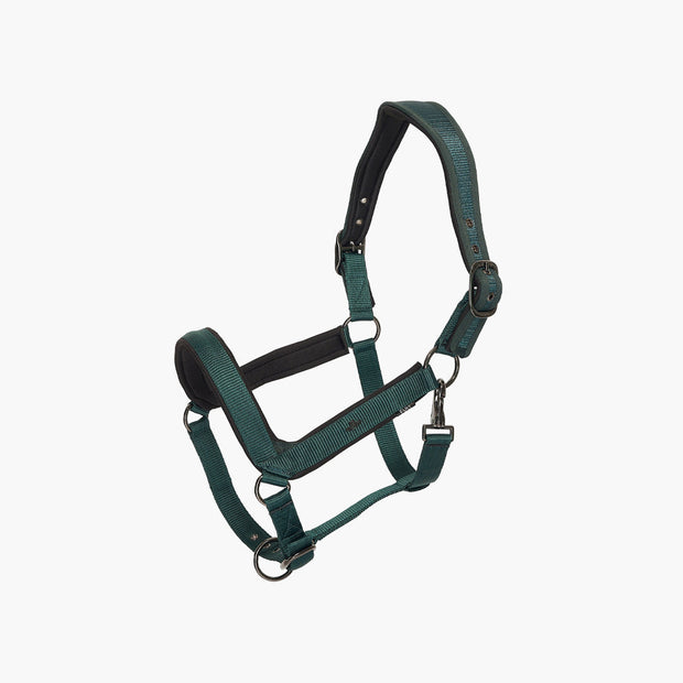 LICOL ESSENTIAL | HV POLO VERT / FULL