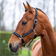 LICOL NENA | HV POLO