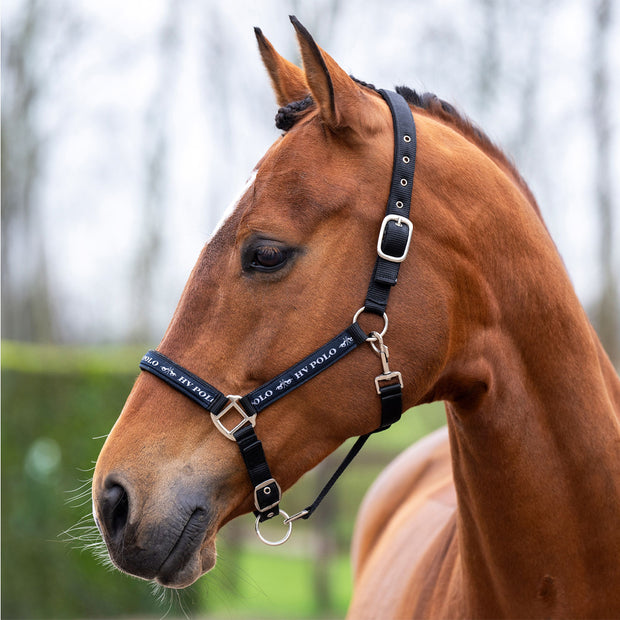 LICOL NENA | HV POLO