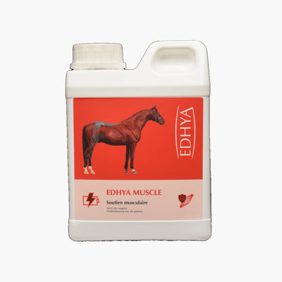 MUSCLES | EDHYA INCOLORE / 1 KG