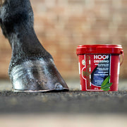 ONGUENT HOOF DRESSING | KEVIN BACON'S NOIR / 1 L