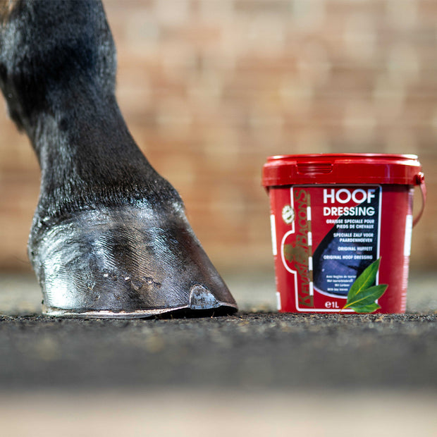ONGUENT HOOF DRESSING | KEVIN BACON'S NOIR / 1 L