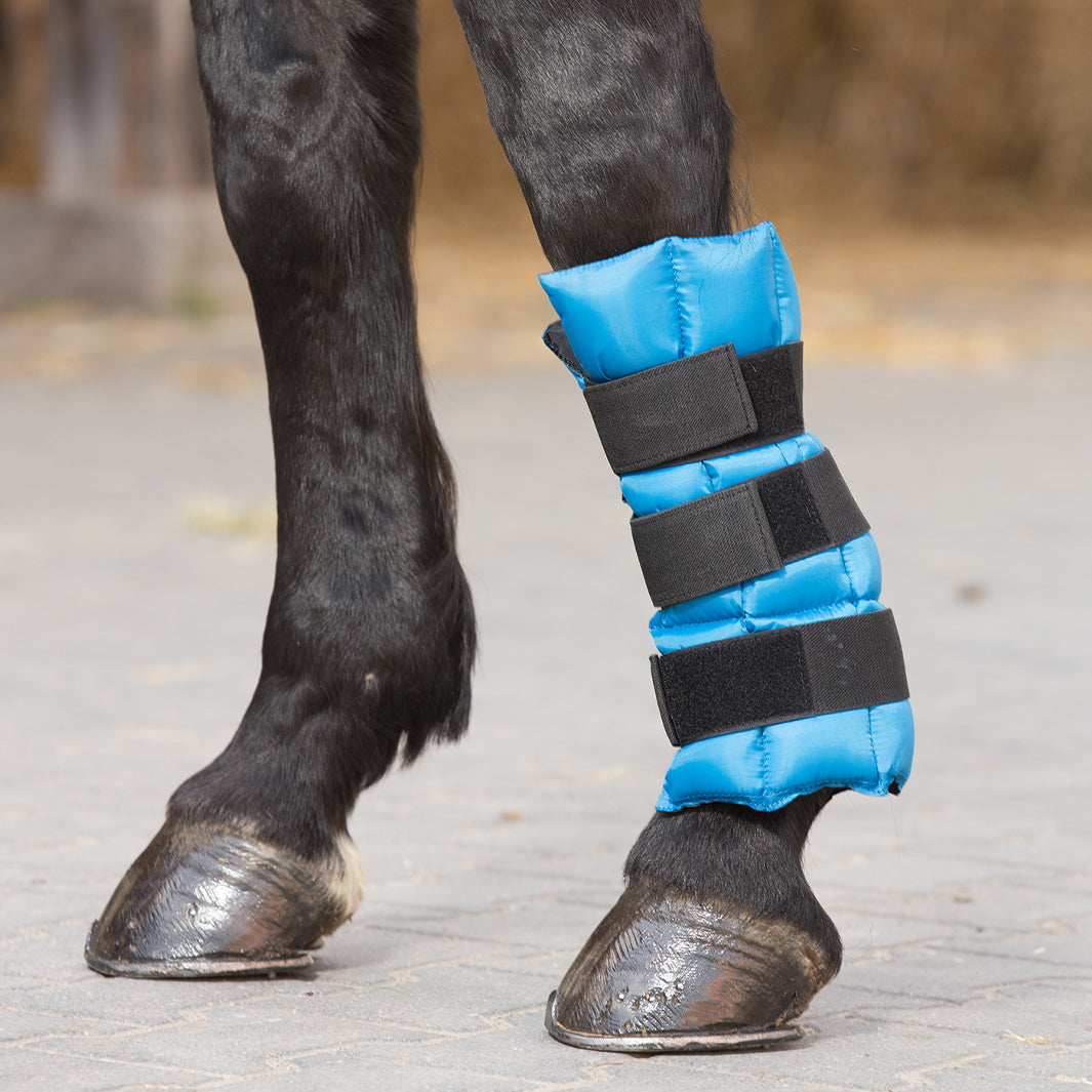 Guêtres De Dressage WALDHAUSEN Comfort Bleu Nuit Taille M - Pour Pattes Avant/arrière, Rembourrage Fourrure Synthétique - 5