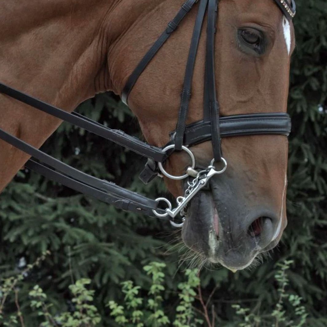Bride De Dressage EAS – Équipement Cheval D'occasion, Bonne Qualité